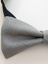 Load image into Gallery viewer, Silk Bow Tie - Gray
